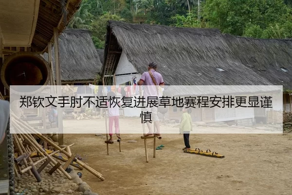 郑钦文手肘不适恢复进展草地赛程安排更显谨慎