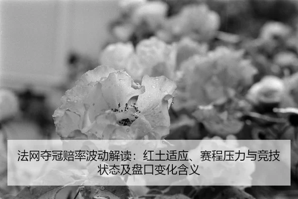 fa-wang-duo-guan-pei-lv-bo-dong-jie-du-hong-tu-shi-ying-sai-cheng-ya-li-yu-jing-ji-zhuang-tai-ji-pan-kou-bian-hua-han-yi-2-801.jpg