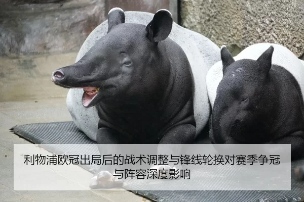 利物浦欧冠出局后的战术调整与锋线轮换对赛季争冠与阵容深度影响
