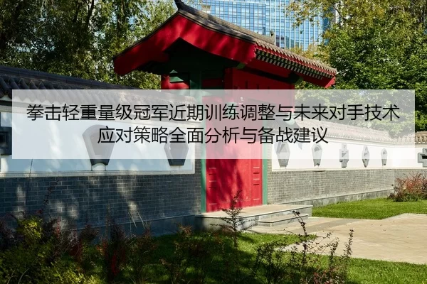 拳击轻重量级冠军近期训练调整与未来对手技术应对策略全面分析与备战建议