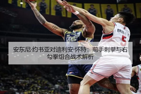 安东尼·约书亚对迪利安·怀特：前手刺拳与右勾拳组合战术解析