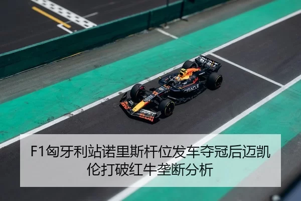 xiong-ya-li-zhan-nuo-li-si-gan-wei-fa-che-duo-guan-hou-mai-kai-lun-da-po-hong-niu-long-duan-fen-xi-2-927.jpg